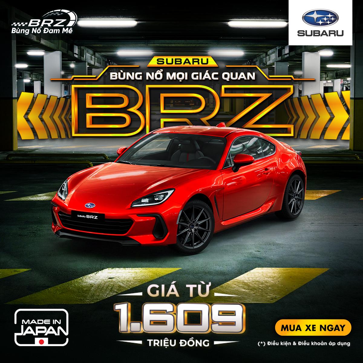 Promotion Banner