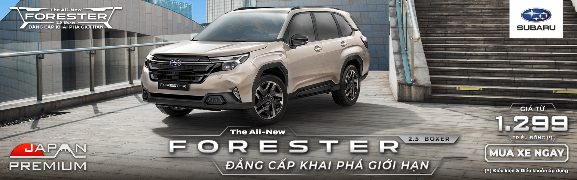Promotion Banner