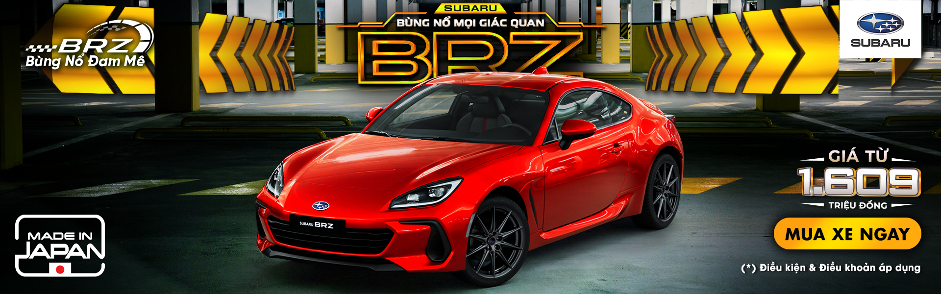 Promotion Banner