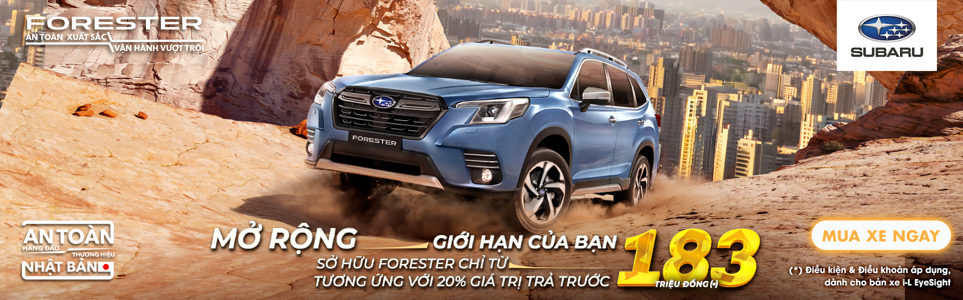 Promotion Banner