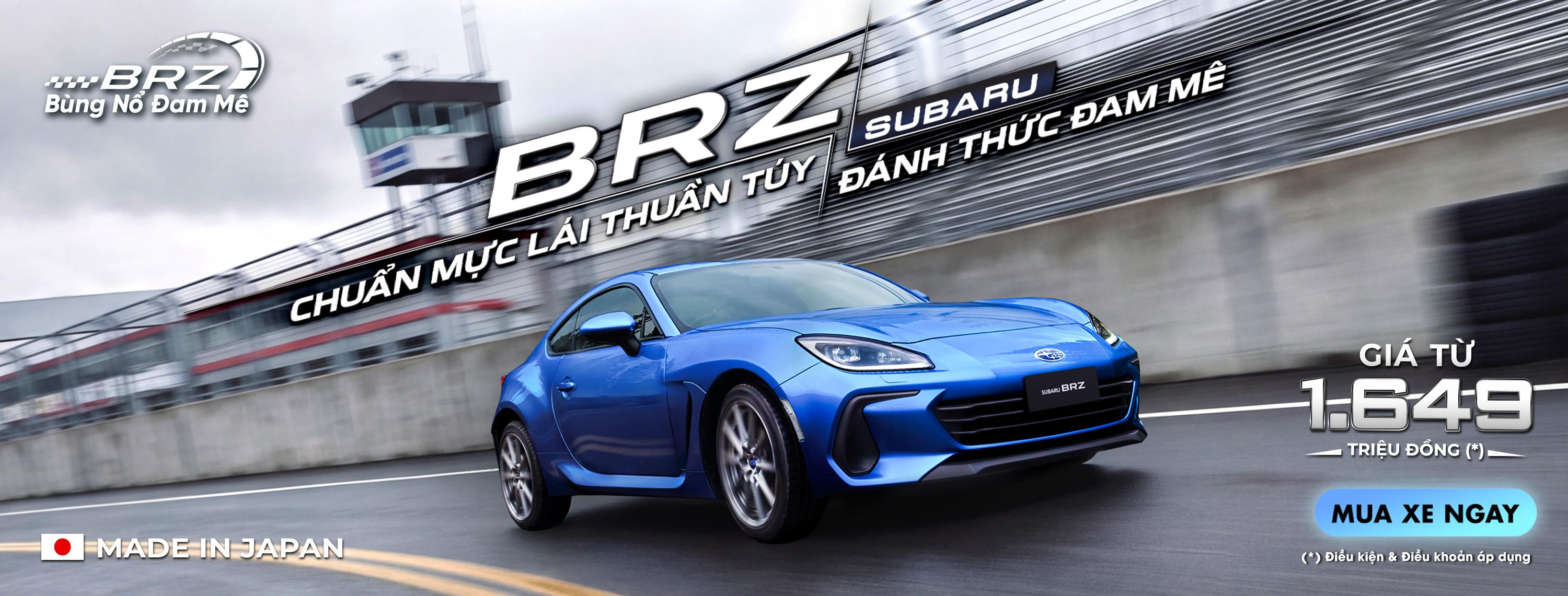 Promotion Banner