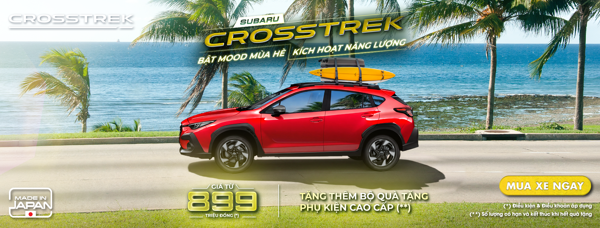 Promotion Banner