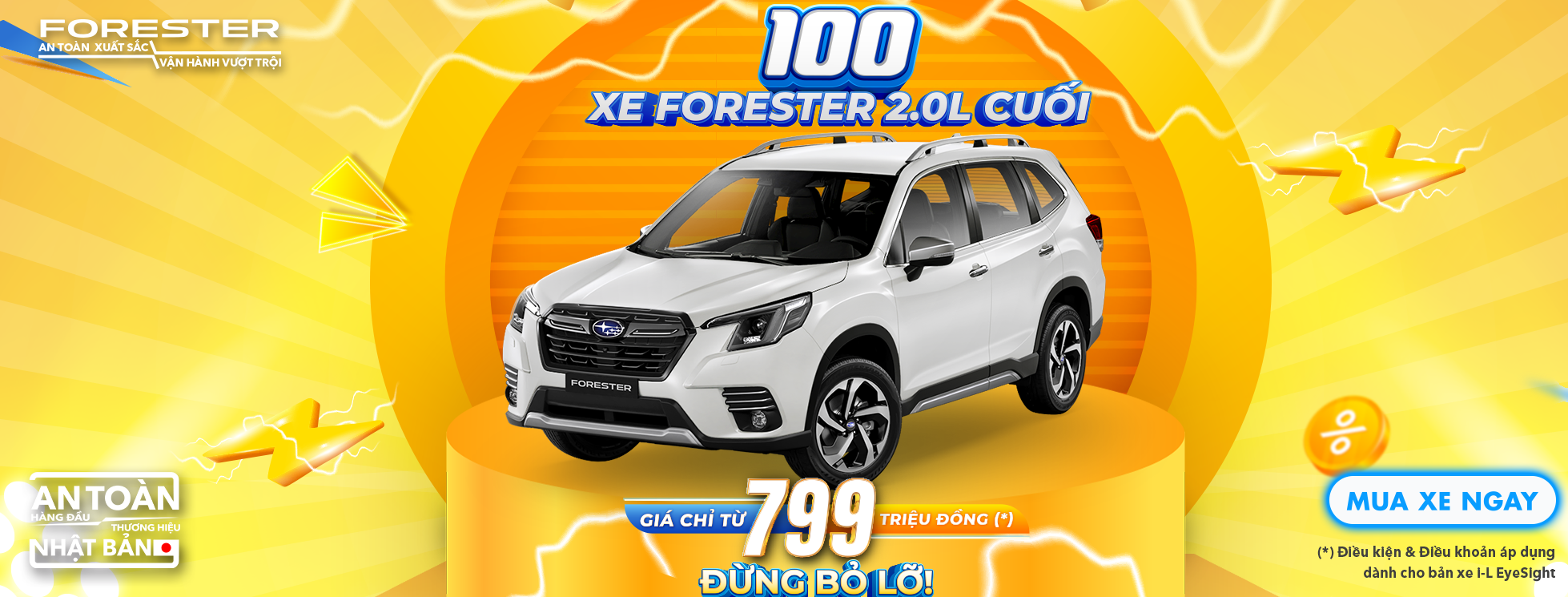 Promotion Banner