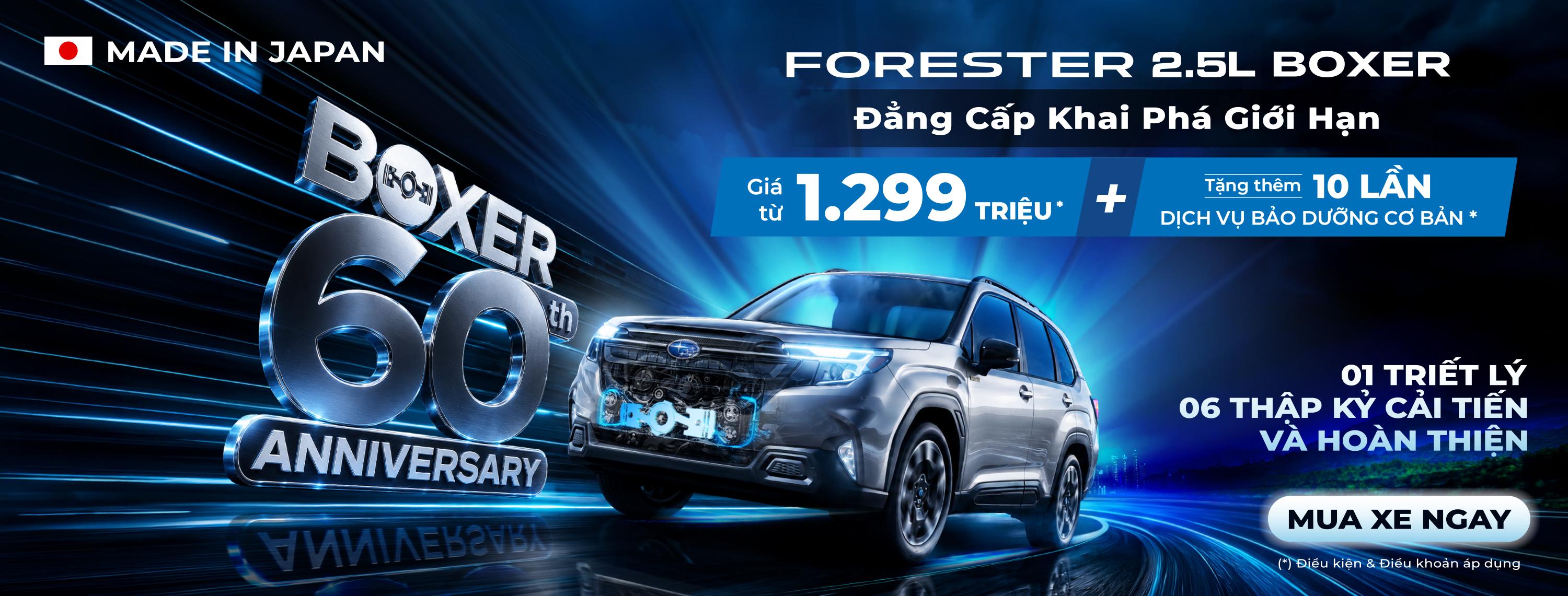 Promotion Banner