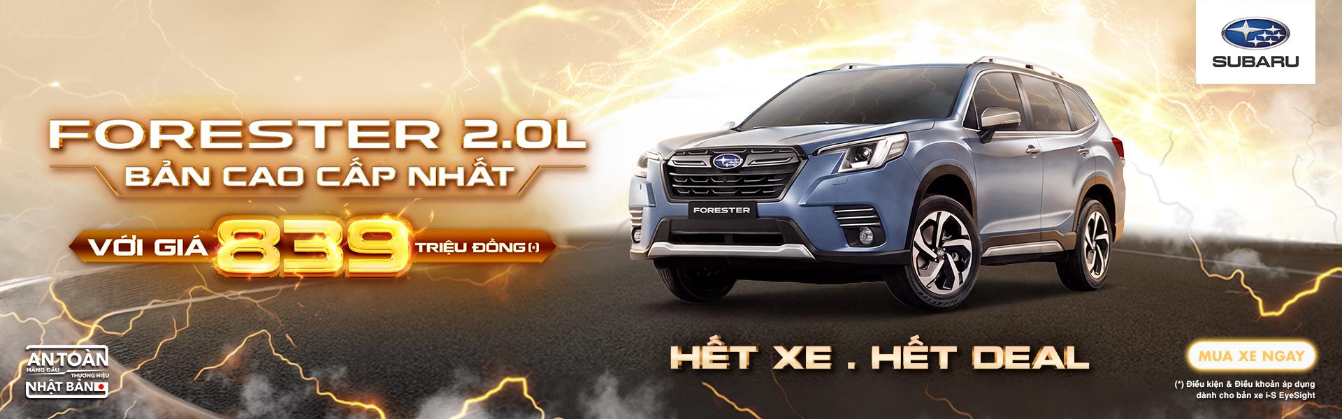 Promotion Banner