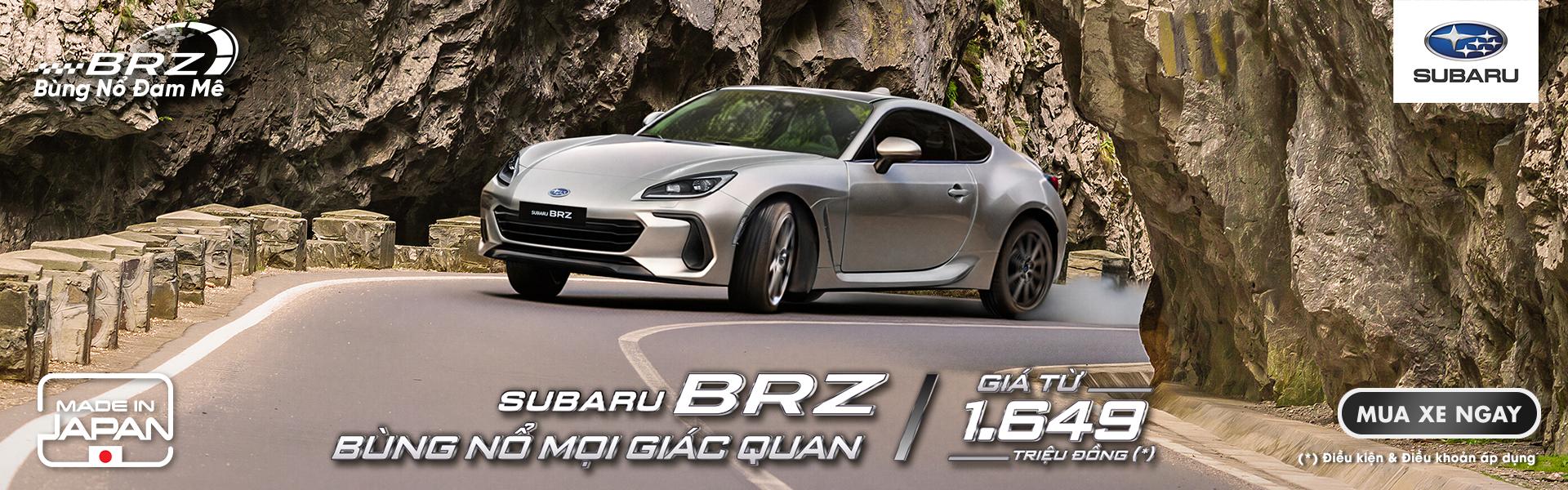 Promotion Banner