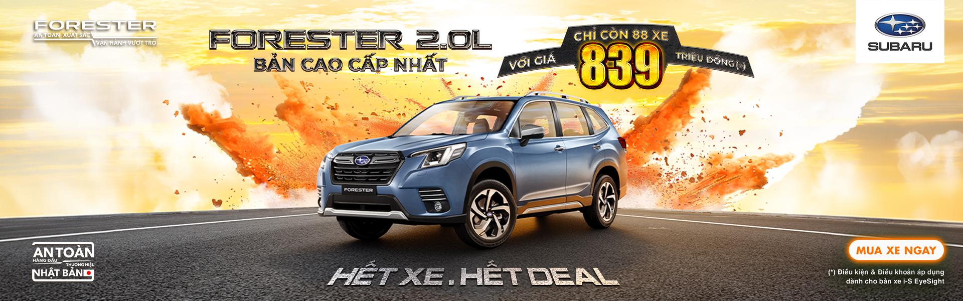 Promotion Banner