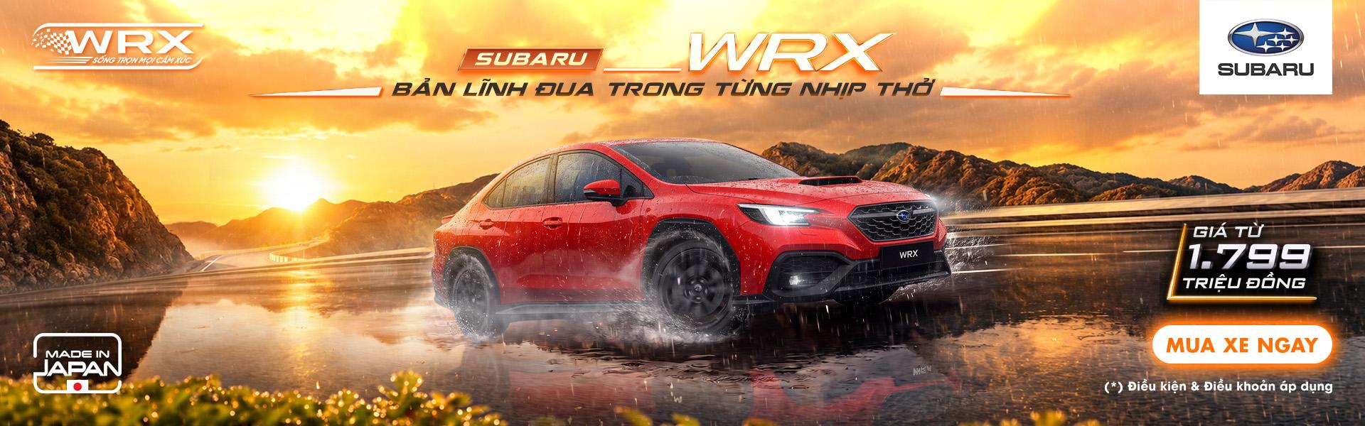 Promotion Banner
