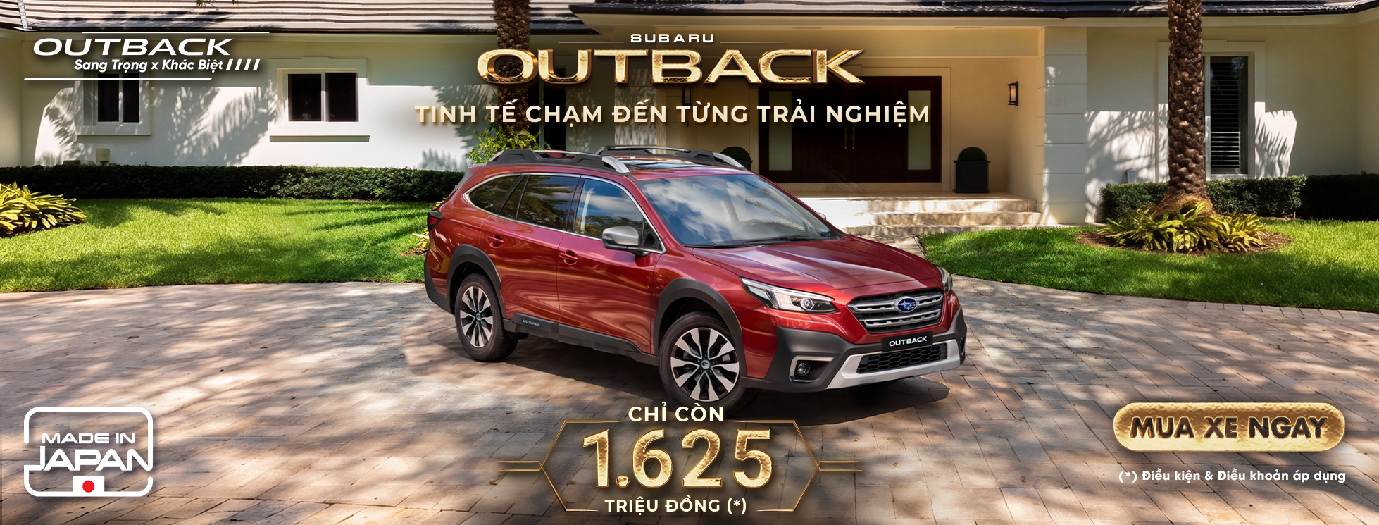 Promotion Banner